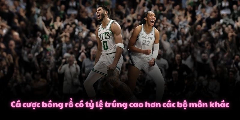 Cá cược bóng rổ có tỷ lệ trúng cao hơn các bộ môn khác